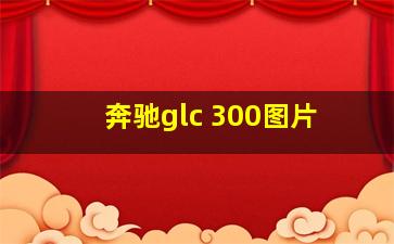 奔驰glc 300图片